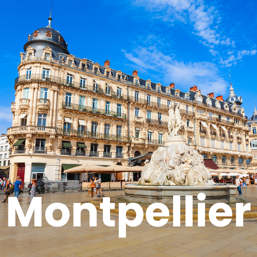 Boucherie halal Montpellier<br />
